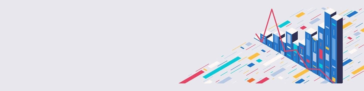 Largest 20 S&P 500 companies